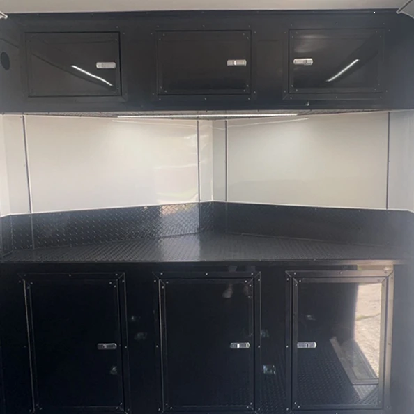 8.5×20TA Black w/Blackout Package - Interior, cabinet detail